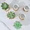 6 Natural White 3" Mini Ceramic Flower Pots Hexagon Geometric Planters Party